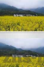 水果机遥控器管不管用-水果机遥控器,实用性与便捷性的探讨