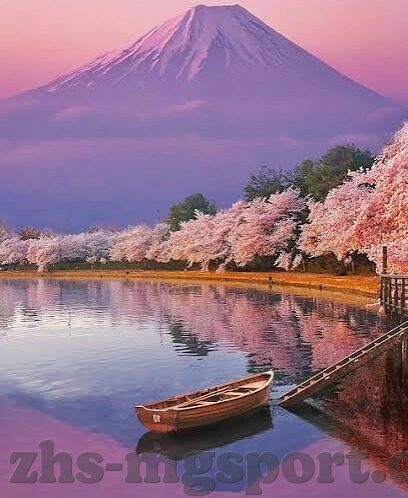 足球比分日本申花-日本劲旅与上海申花，一场跨越国界的足球比分背后的故事
